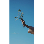 T r u s t e d ~