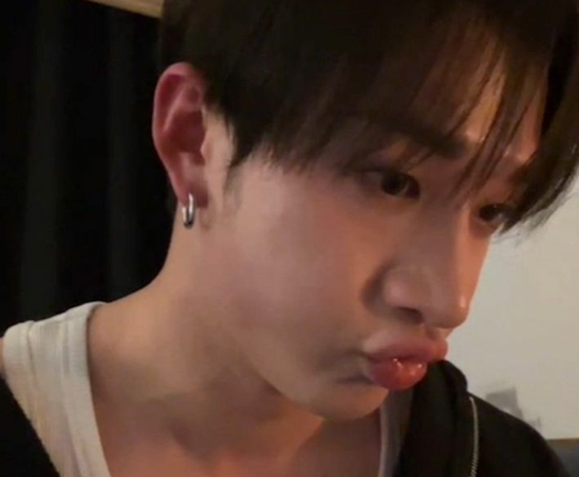 Survive Bangchan!! Stray Kids screenshot 4