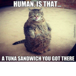 lol #### ##### i guess