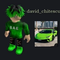 Harta lui DAVID icon