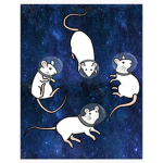 Lil sunshine’s rat