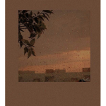 aesthetics- softies