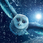 Gorup for owl's