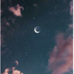 -n i g h t c l o t h i n g-