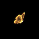 Bee Project