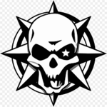 TheStarSkull