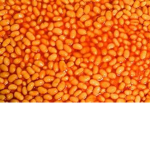 [PF] Baked beans