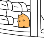 i gatti di dio