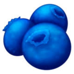 Blue-Berry Squad