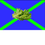 Lettuce Party