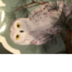 Owl book buddies
