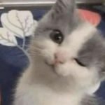 겜창고