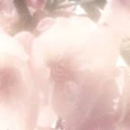 ❀