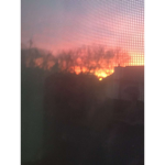 Sunset tay