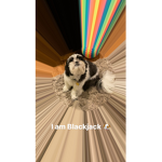 Blackjack’s friends
