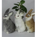 Bunny pop pop