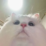 Games ?