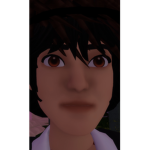 Bloxburgbuidsss