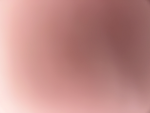 R1_l33