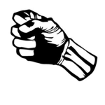 Flying Fist Karate