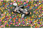 Linas uwu's