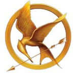 hunger games role play