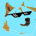 Doge fan Group Plz donate