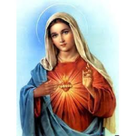 Our Lady Of #### High School