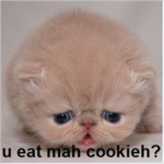 Im ganna die cuz you took muh cookieh.