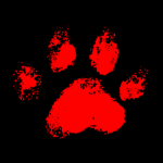 K9 Productions