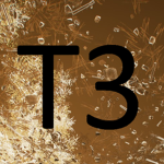 T3