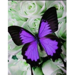 Blue vales group