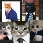 Super Secret Cat Group