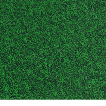 touch grass as fast as you can simulator