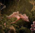 *~Cloudy Butterflies~*