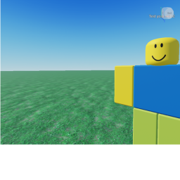 Test Your Skills