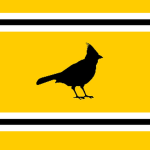 Allegheny First Party