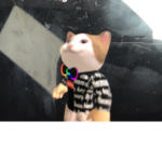 Pop cat vs hamster