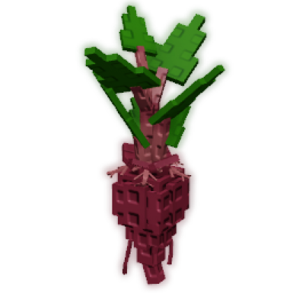Evo Beetroot IV