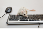 TRASH RATS
