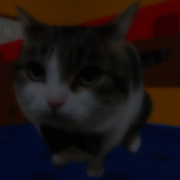 Pet cat pls [INSPIRED BY GASA4]