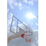 +*love basketball?*+
