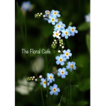 The Floral Cafe.