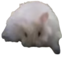 🐹 PELMENROOMS CLASSIC