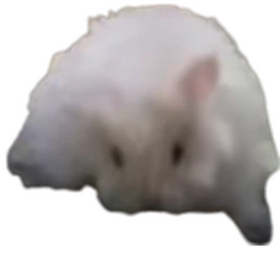 🐹 PELMENROOMS CLASSIC icon