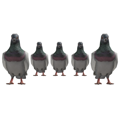Pigeon Bird Army