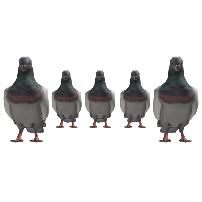 Pigeon Bird Army