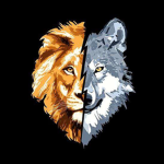 Lion&Wolf