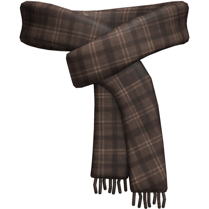 Brown Winter Scarf
