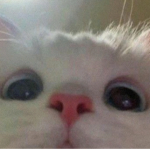 Uoooooooooooooooooooooooooooooooooooooooooooooo
